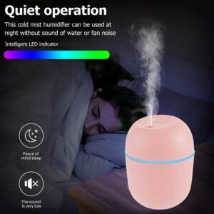 USB Mini Egg Humidifier